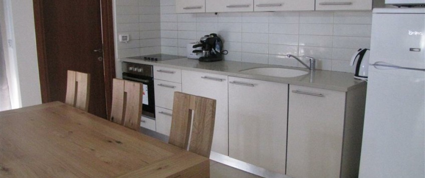 Apartment Ness Tsiyona Tel Aviv - Apt 24361